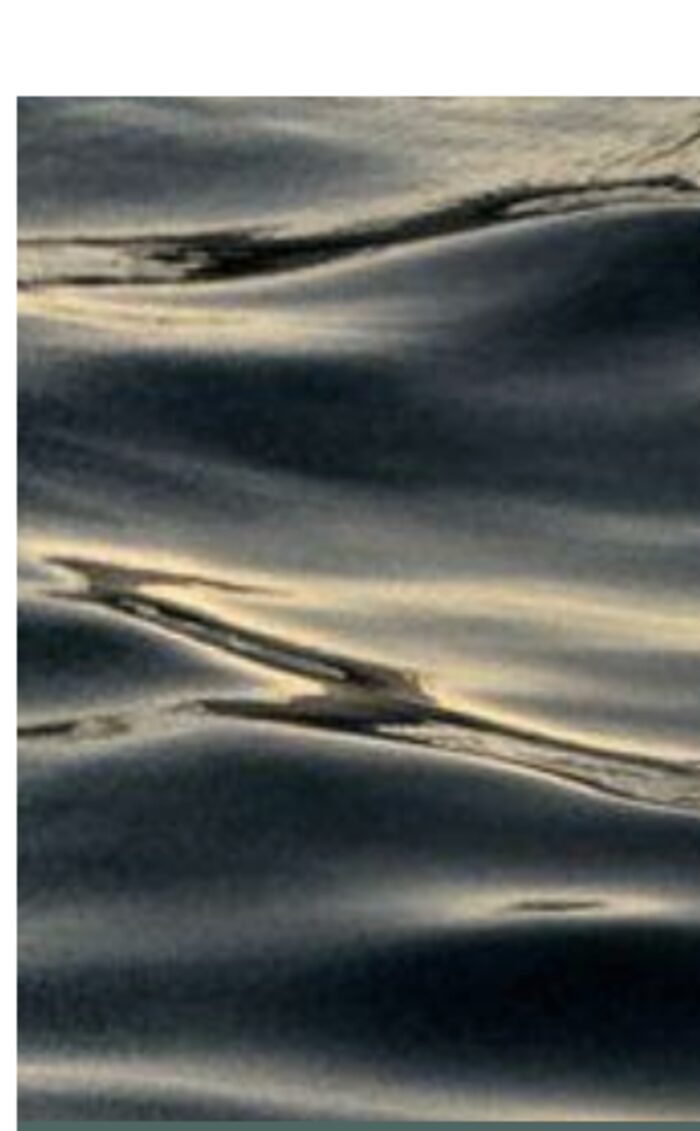 Sunlight rippling across water